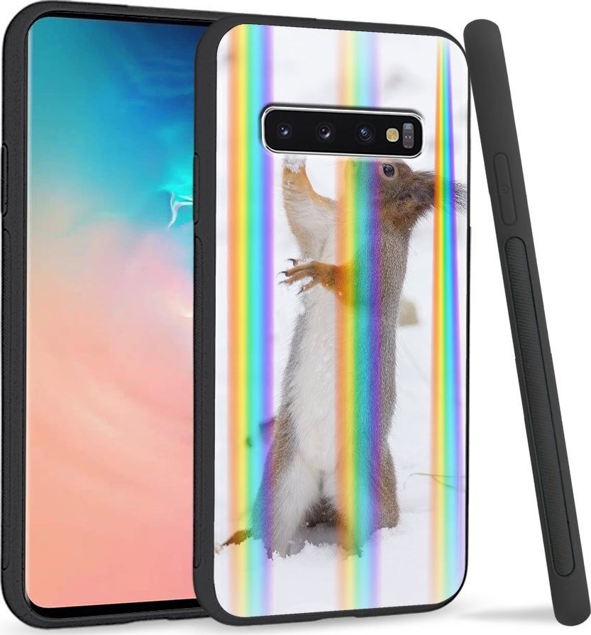 Super Fashion Etui Rainbow Series na Samsung S10 Snow squirrel 1