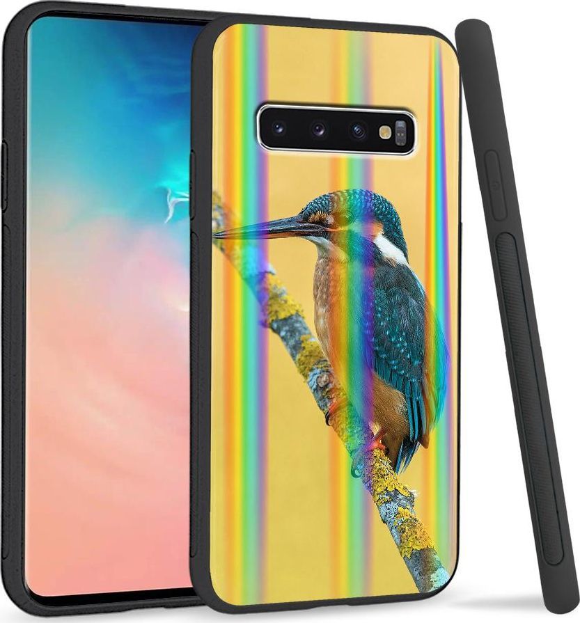 Super Fashion Etui Rainbow Series na Samsung S10 Plus Zimorodek 1