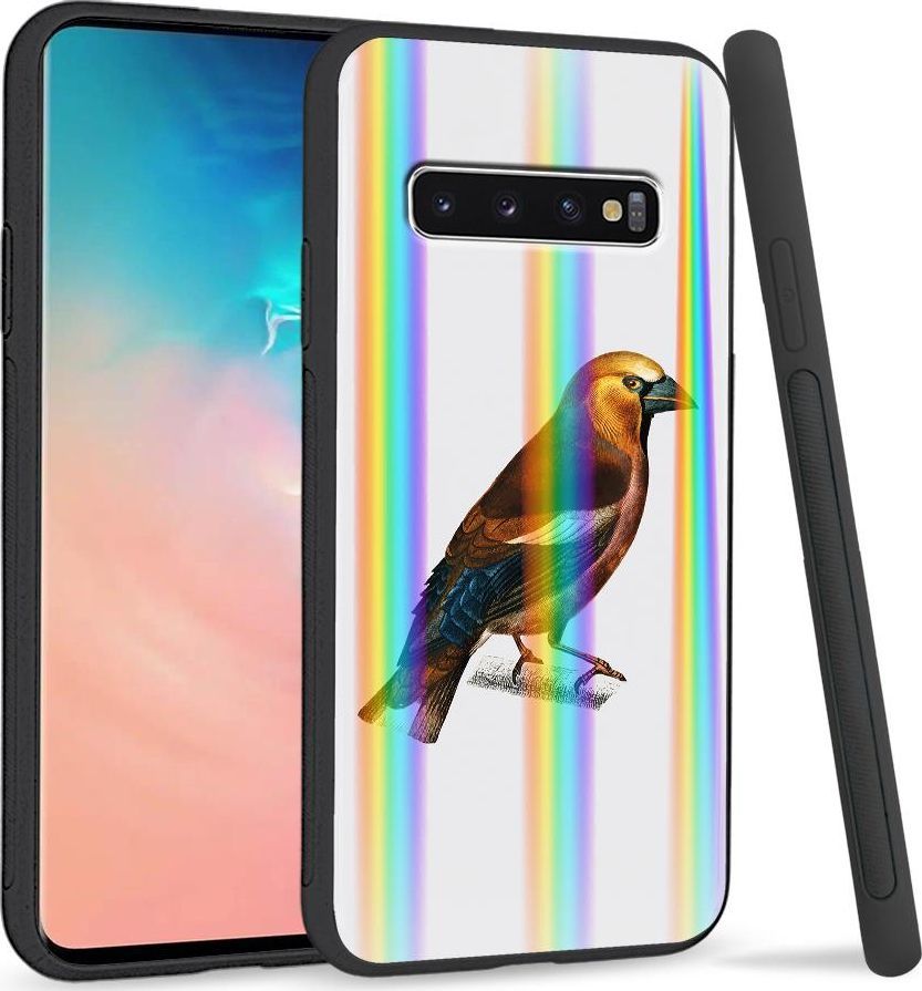 Super Fashion Etui Rainbow Series na Samsung S10 Plus Sójka 1