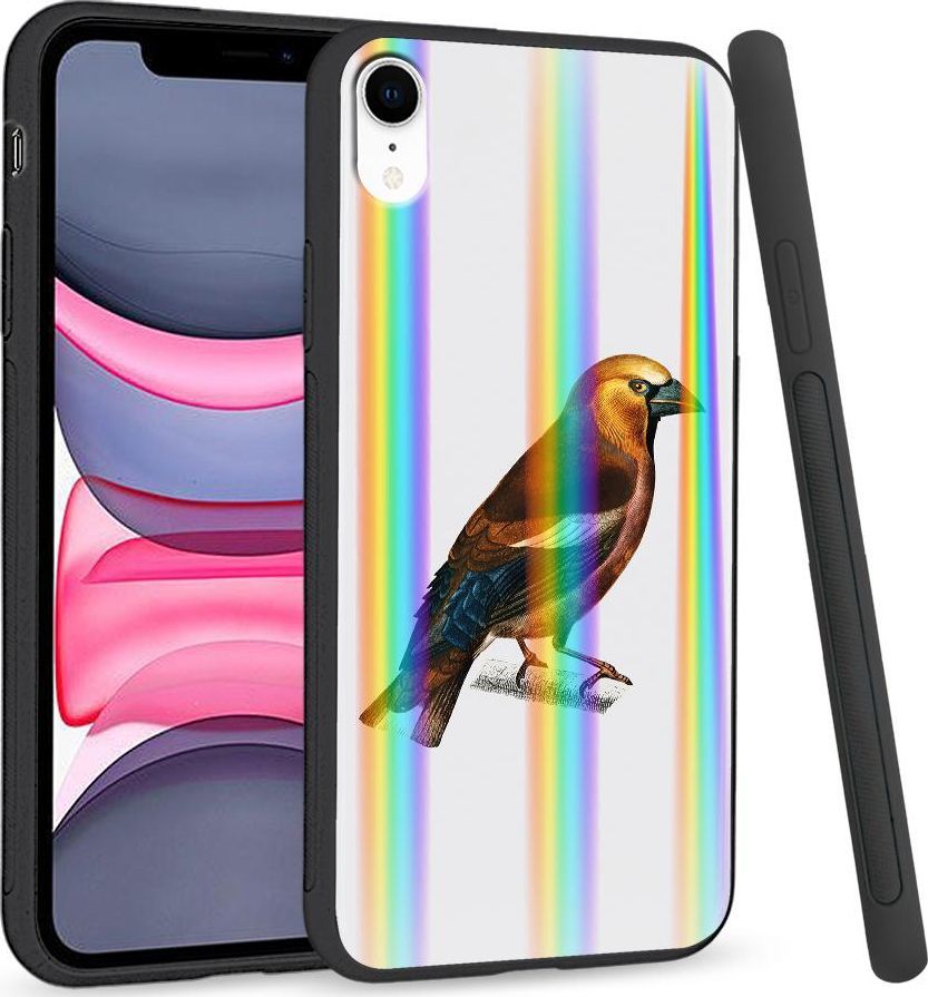 Super Fashion Etui Rainbow Series na Apple iPhone XR Sójka 1