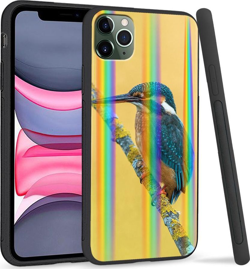 Super Fashion Etui Rainbow Series na Apple iPhone 11 Pro Zimorodek 1