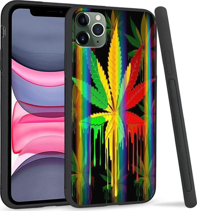 Super Fashion Etui Rainbow Series na Apple iPhone 11 Pro Jamaica Zioło 1