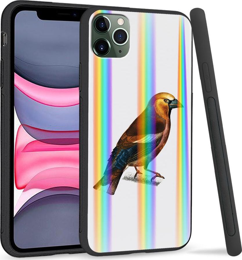 Super Fashion Etui Rainbow Series na Apple iPhone 11 Pro Sójka 1