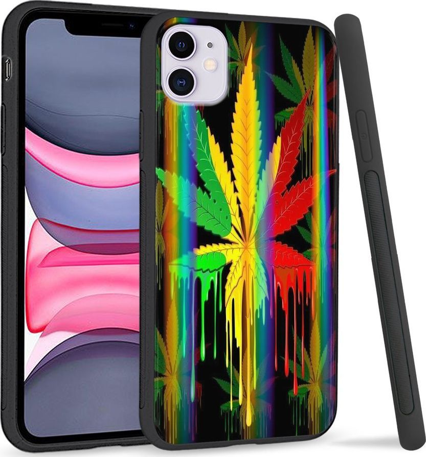 Super Fashion Etui Rainbow Series na Apple iPhone 11 Jamaica Zioło 1