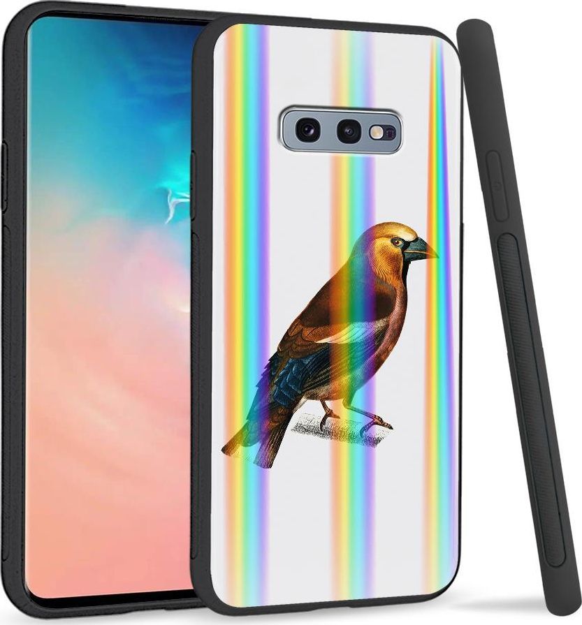 Super Fashion Etui na telefon Samsung S10E Rainbow Case Sójka 1