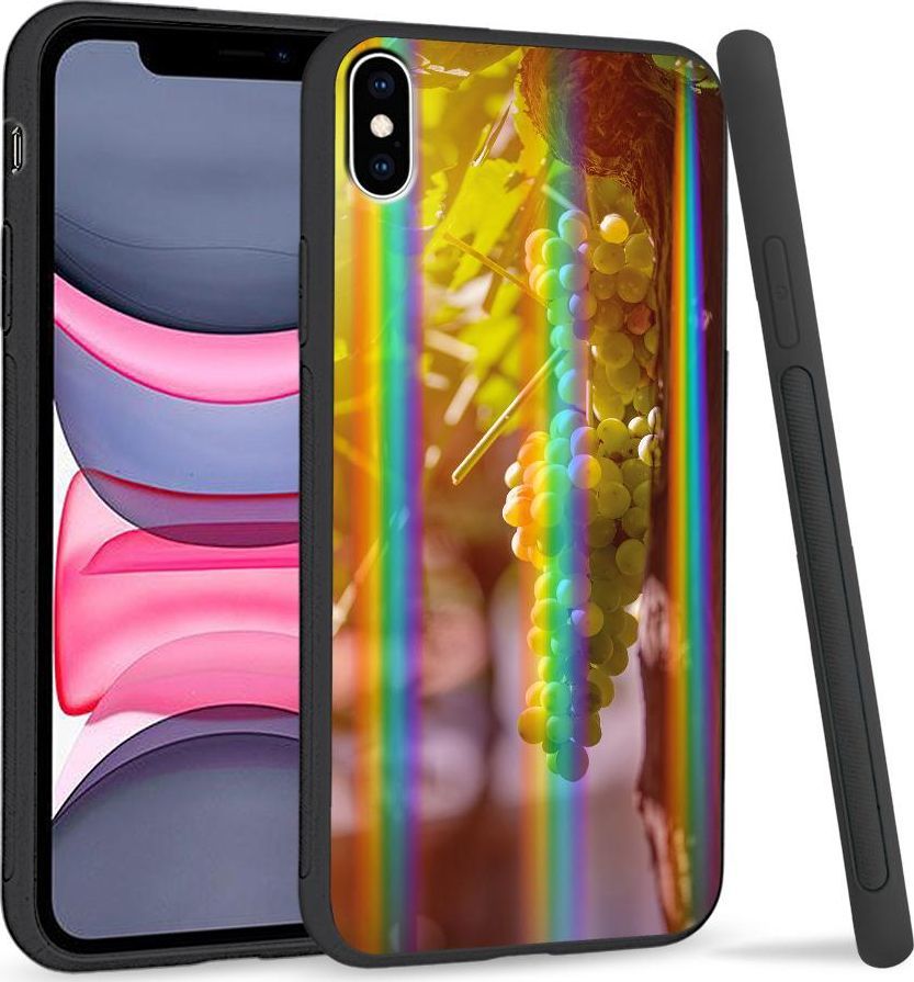 Super Fashion Etui Rainbow Series na Apple iPhone XS Max Kiść winogron 1