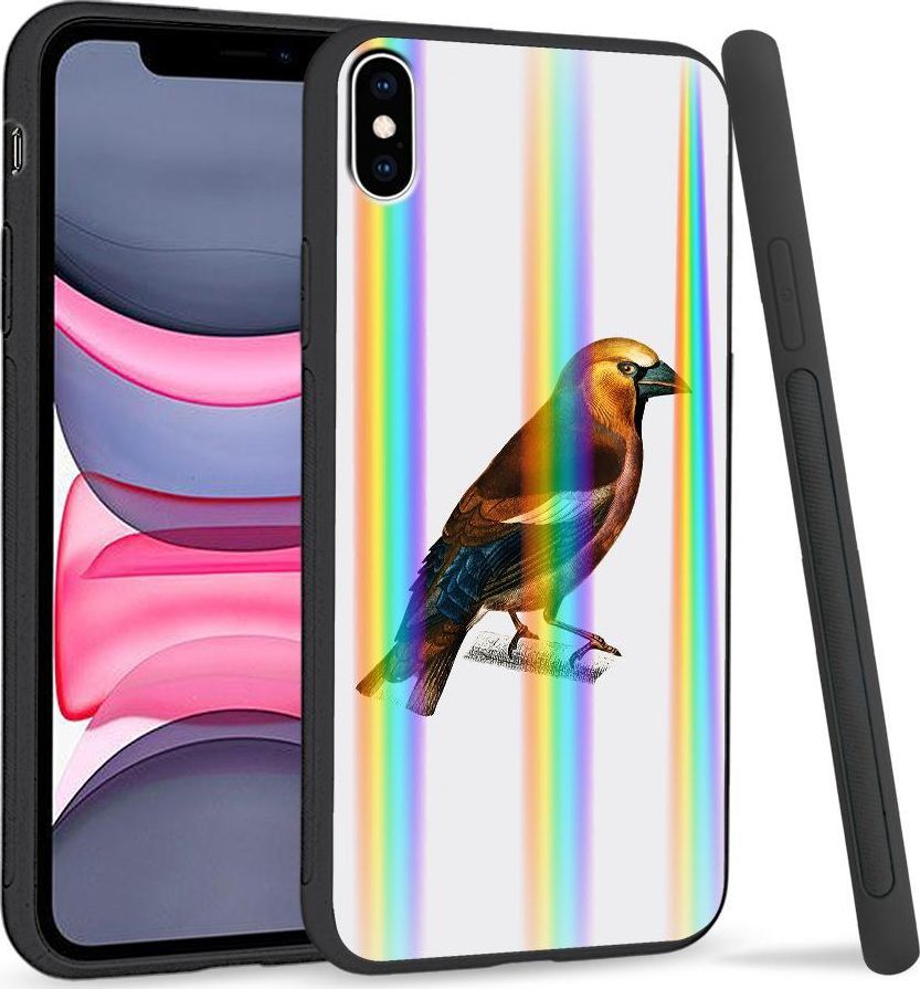 Super Fashion Etui Rainbow Series na Apple iPhone XS Max Sójka 1