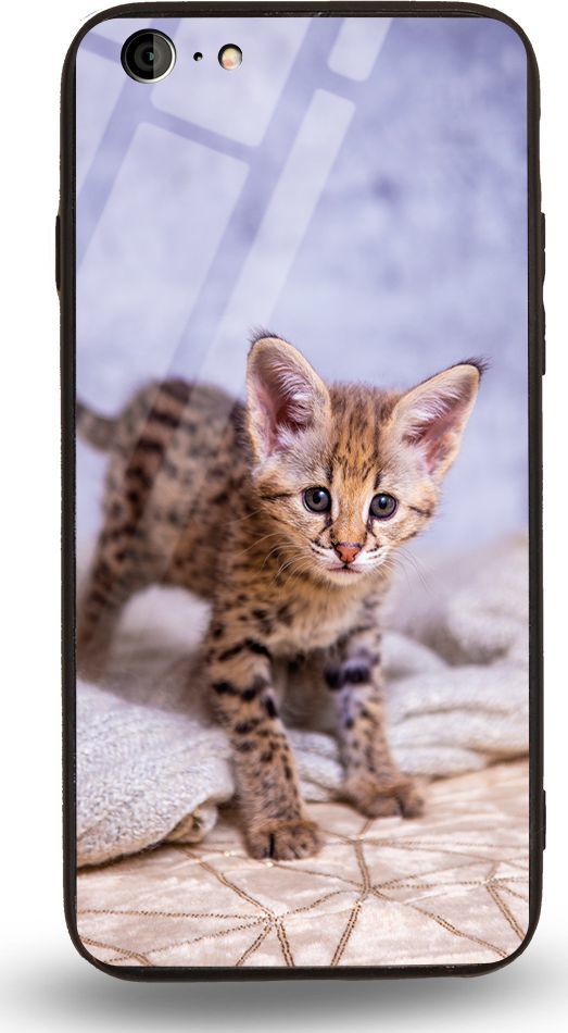 Etui na Apple iPhone 6 - Designer Series - Baby kitty 1