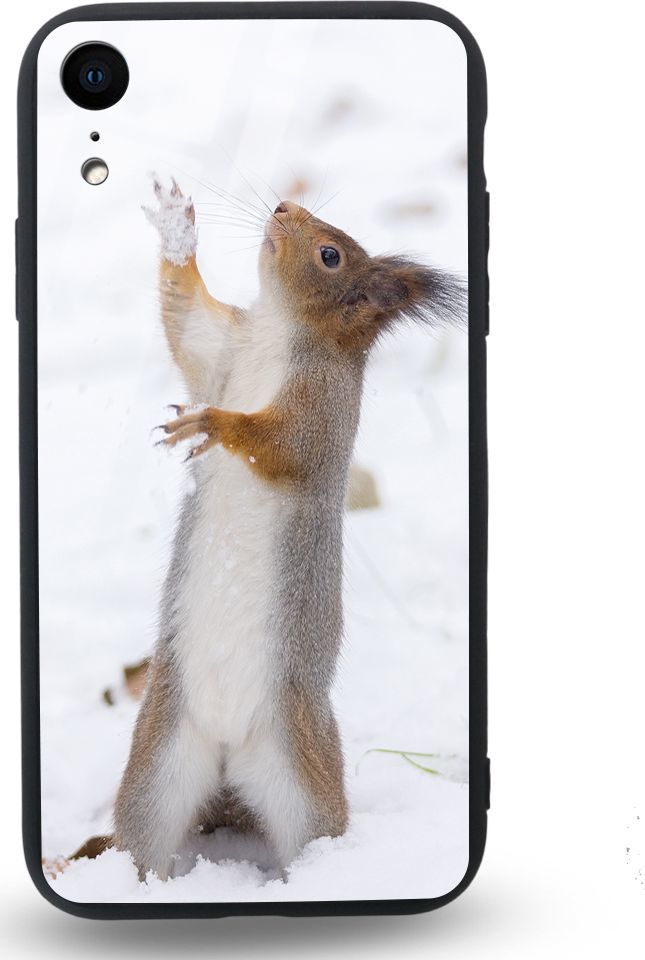 Etui na Apple iPhone XR - Designer Series - Snow squirrel 1