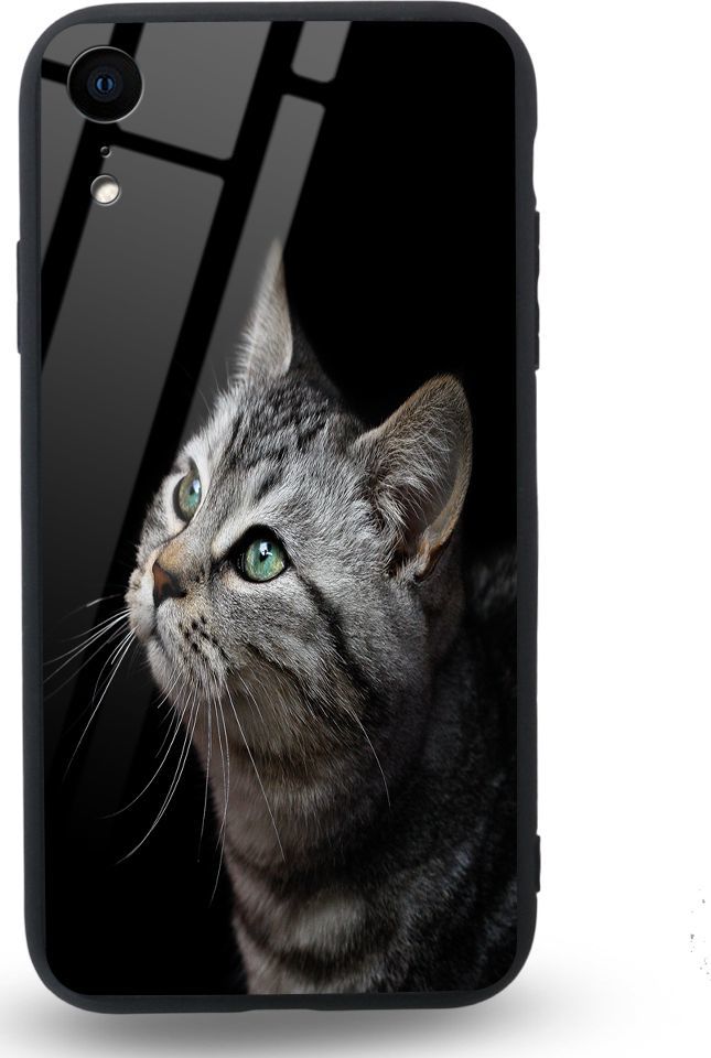 Etui na Apple iPhone XR - Designer Series - My kitty friend 1