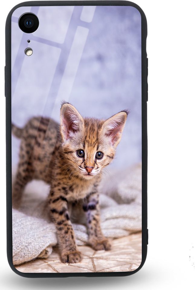 Etui na Apple iPhone XR - Designer Series - Baby kitty 1