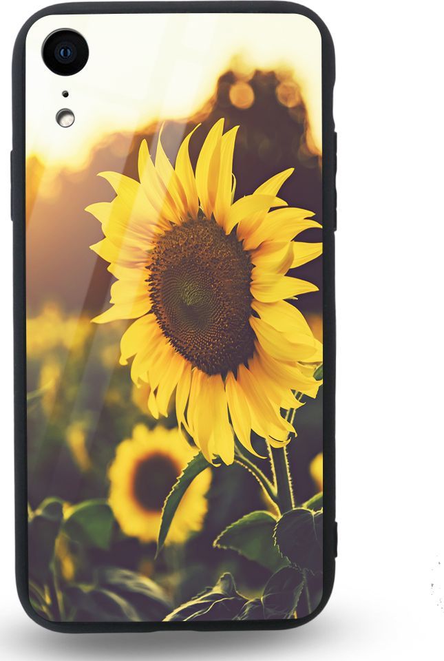 Etui na Apple iPhone XR - Designer Series - Sunflower field 1