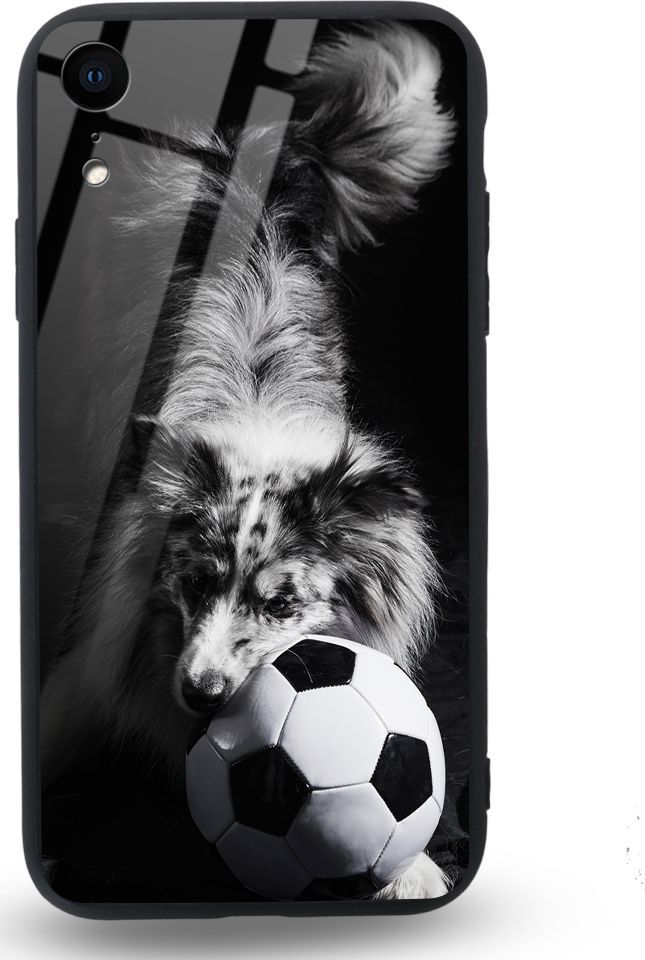 Etui na Apple iPhone XR - Designer Series - Dog with ball 1