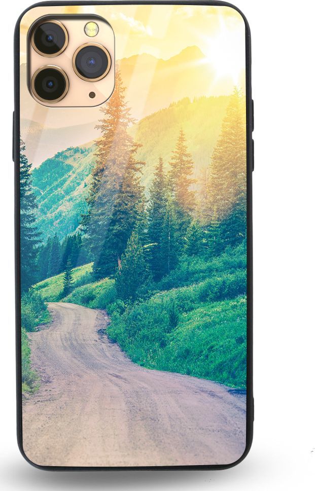 Etui na Apple iPhone 11 Pro Max - Designer Series - Village roads 1