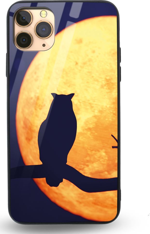 Etui na Apple iPhone 11 Pro Max - Designer Series - Night Owl 1