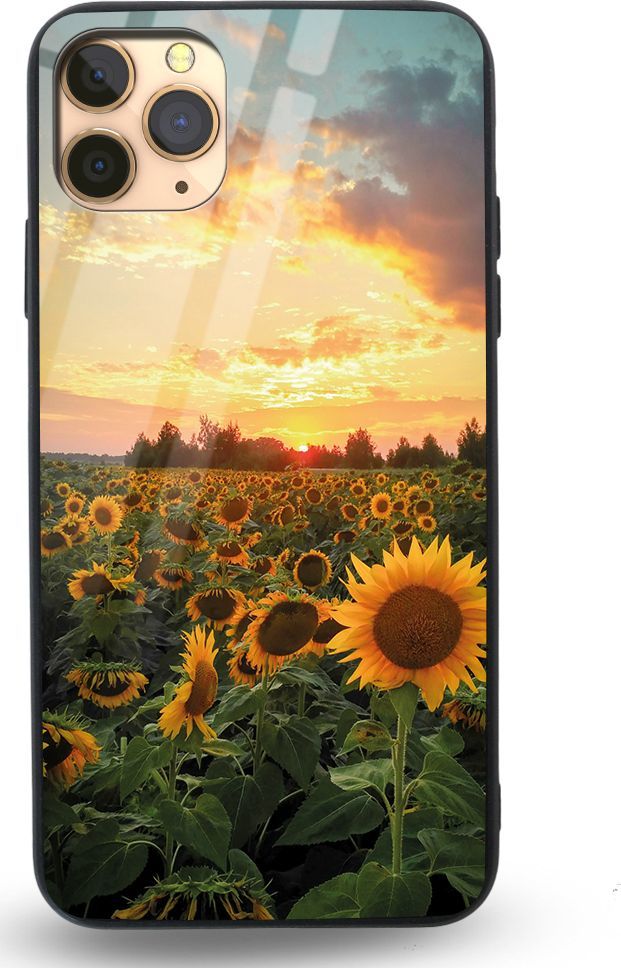 Etui na Apple iPhone 11 Pro Max - Designer Series - Bridges 1