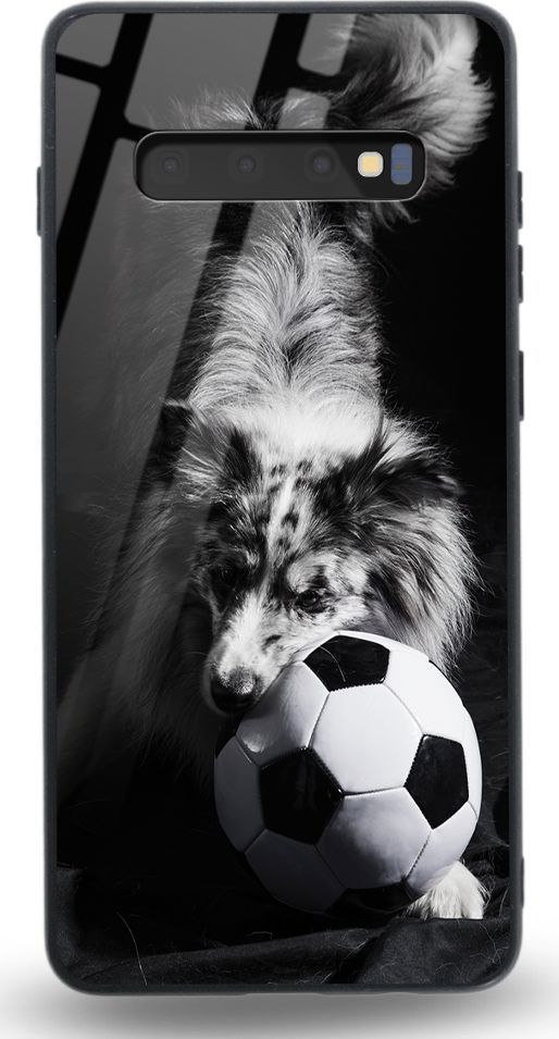Etui na Samsung S10 Plus - Designer Series - Dog with ball 1
