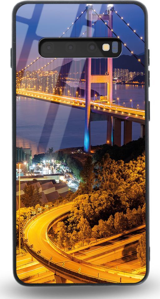Etui na Samsung S10 Plus - Designer Series - Amazon Parrot 1