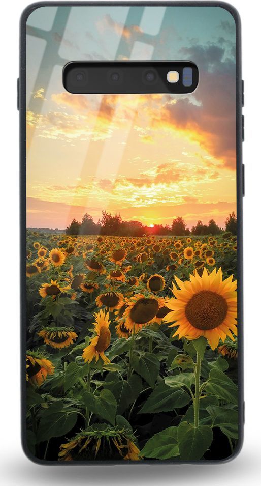 Etui na Samsung S10 Plus - Designer Series - Bridges 1