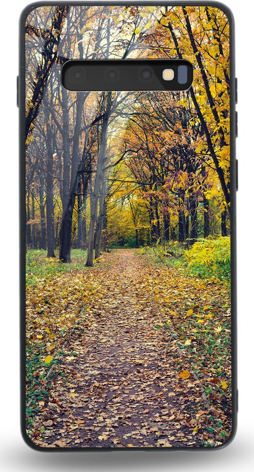 Etui na Samsung S10 Plus - Designer Series - Walk in Park 1