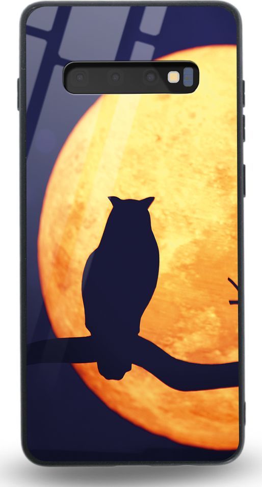 Etui na Samsung S10 Plus - Designer Series - Night Owl 1