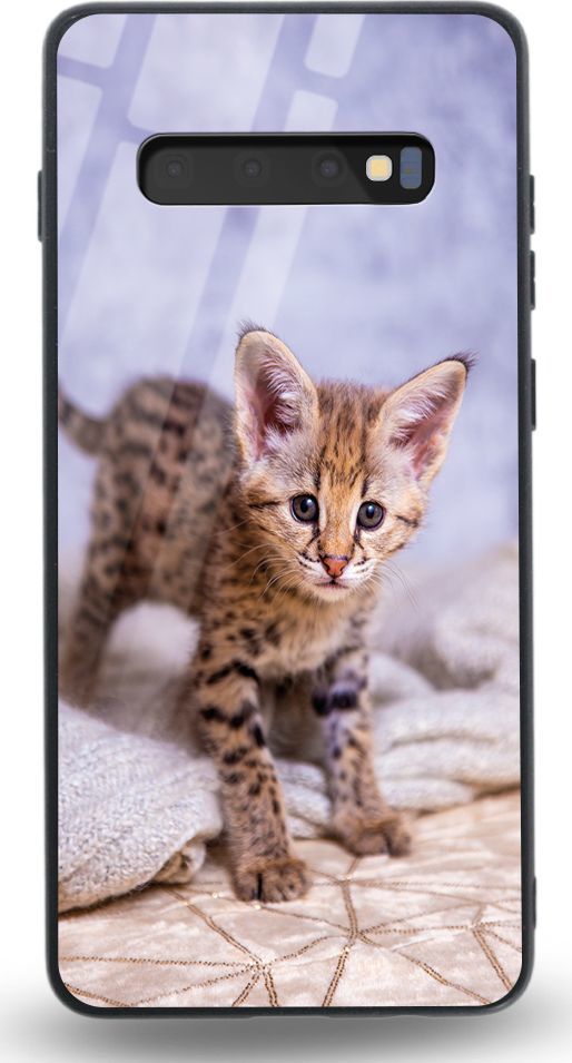 Etui na Samsung S10 Plus - Designer Series - Baby kitty 1