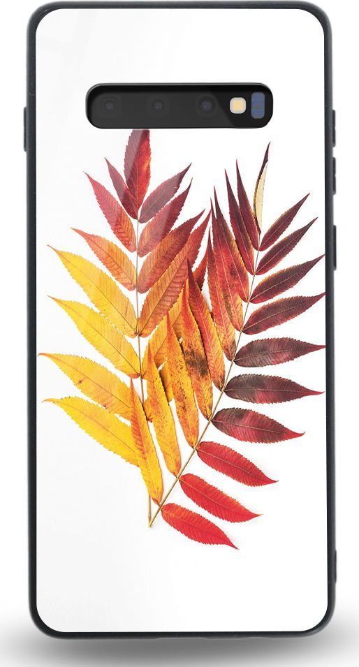 Etui na Samsung S10 Plus - Designer Series - Autmn leaves 1