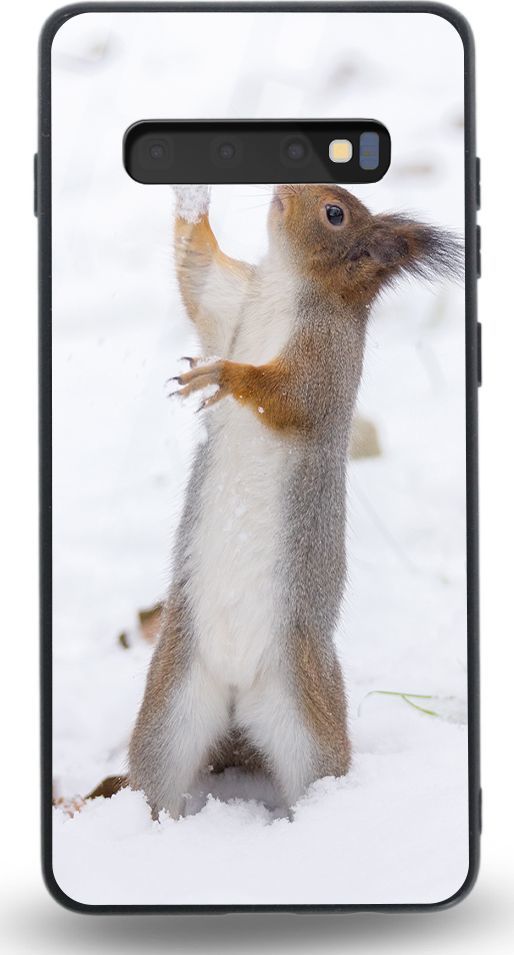 Etui na Samsung S10 Plus - Designer Series - Snow squirrel 1