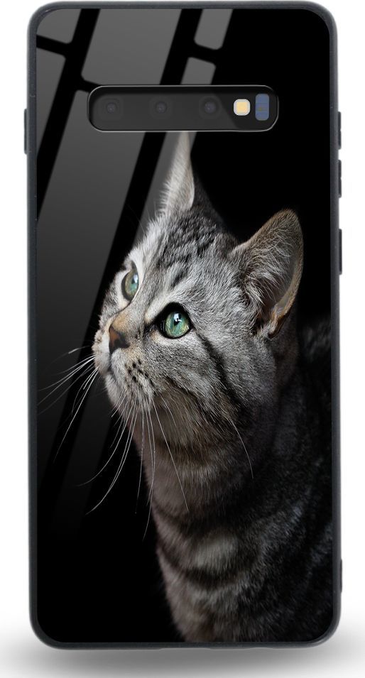 Etui na Samsung S10 Plus - Designer Series - My kitty friend 1