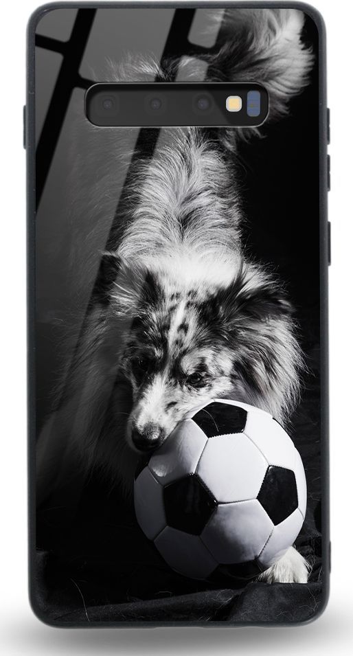 Etui na Samsung S10 - Designer Series - Dog with ball 1