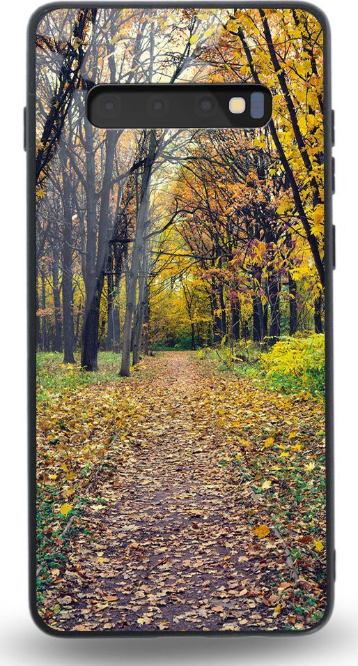 Etui na Samsung S10 - Designer Series - Walk in Park 1