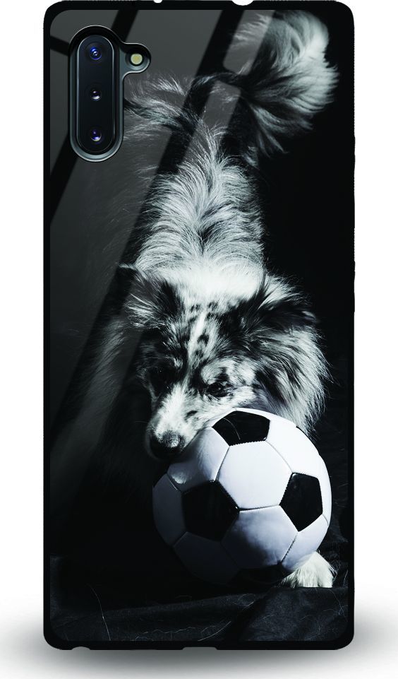 Etui na Samsung Note 10 - Designer Series - Dog with ball 1