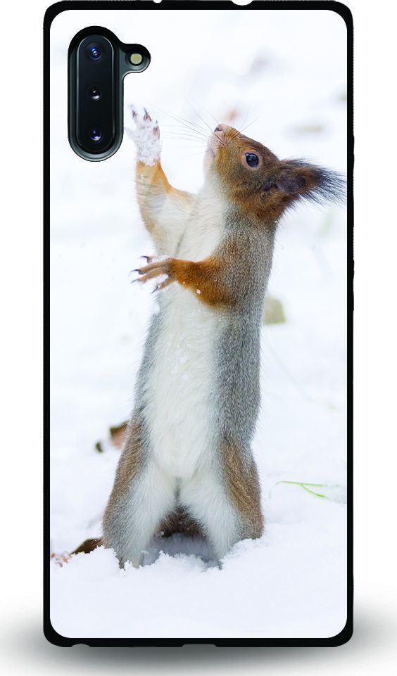 Etui na Samsung Note 10 - Designer Series - Snow squirrel 1