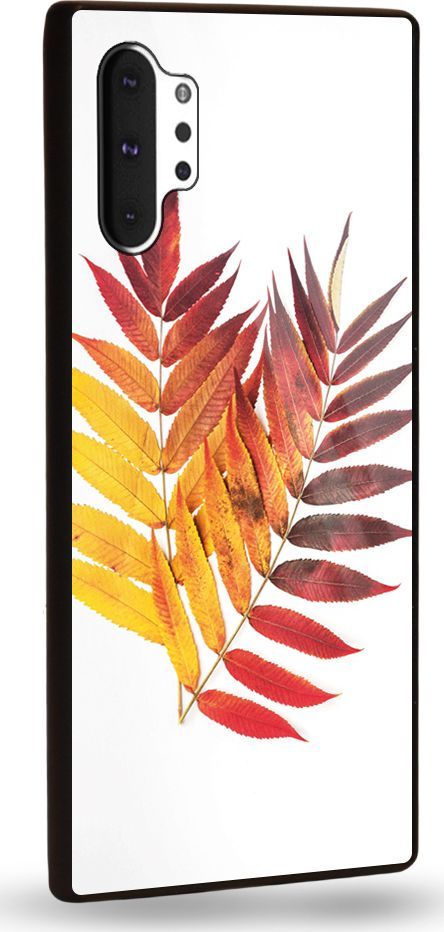 Etui na Samsung Note 10 Plus - Designer Series - Autmn leaves 1
