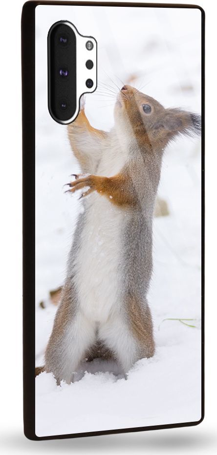 Etui na Samsung Note 10 Plus - Designer Series - Snow squirrel 1