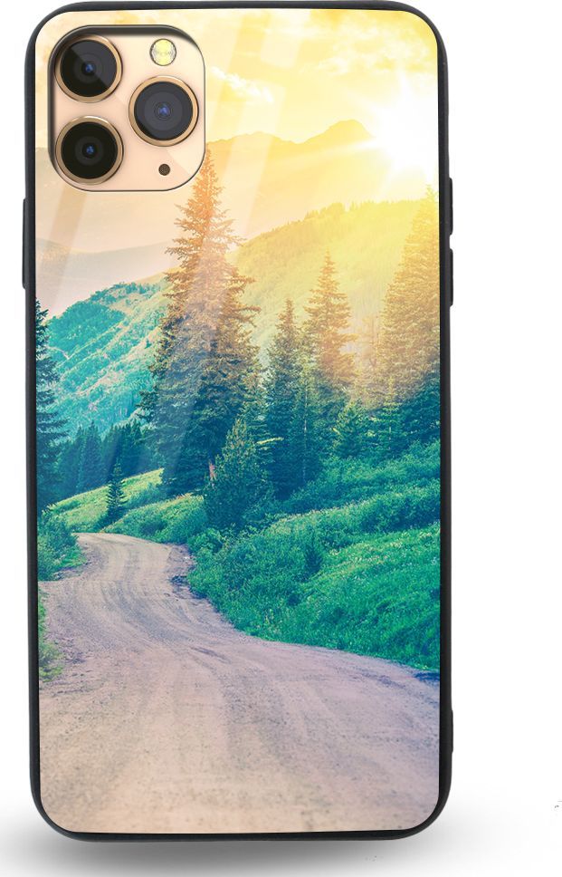 Etui na Apple iPhone 11 Pro - Designer Series - Village roads 1