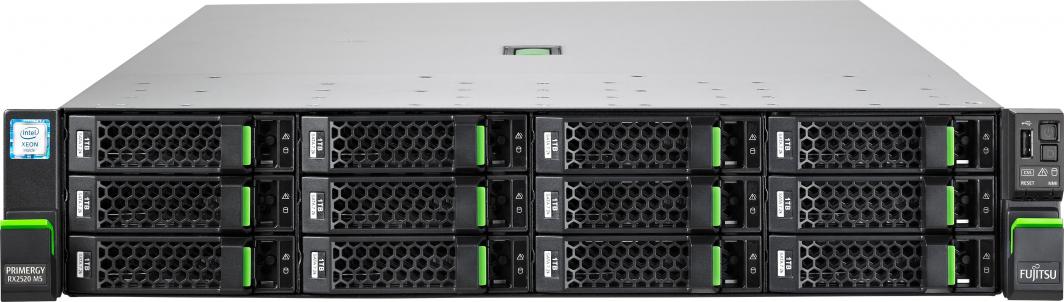 Serwer Fujitsu Primergy RX2520 M5 (VFY:R2525SX160PL-S19) 1