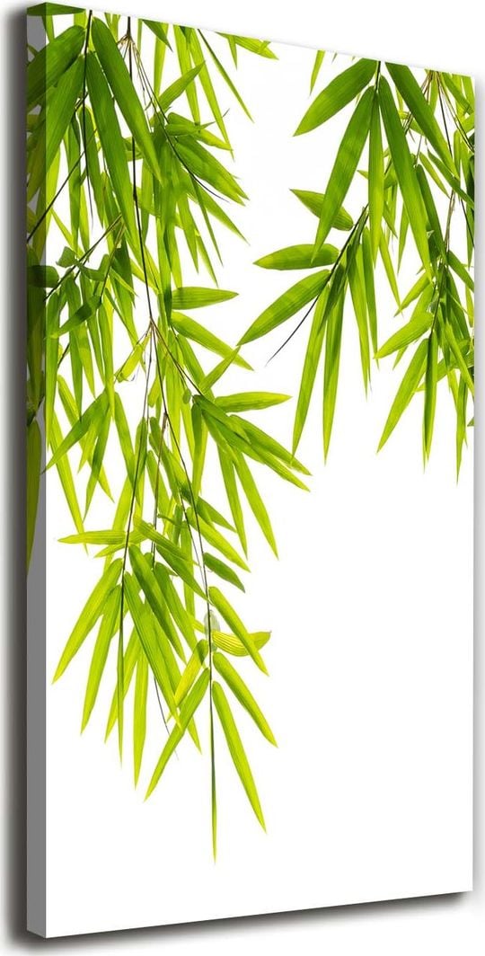  Tulup Obraz Na Płótnie 50x100 Obraz Canvas Liście bambusa 1