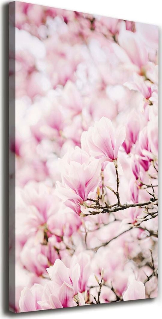  Tulup Obraz Na Płótnie 50x100 Obraz Canvas Kwiaty magnolii 1