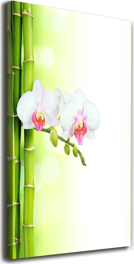  Tulup Obraz Na Płótnie 50x100 Obraz Canvas Orchidea i bambus 1