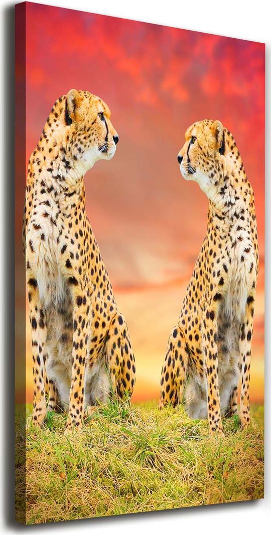  Tulup Obraz Na Płótnie 50x100 Obraz Canvas Dwa gepardy 1