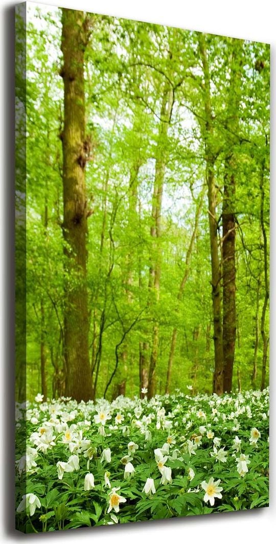  Tulup Obraz Na Płótnie 50x100 Obraz Canvas Kwiaty w lesie 1