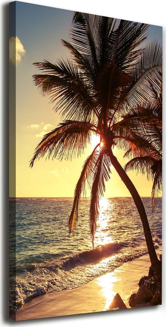  Tulup Obraz Na Płótnie 50x100 Obraz Canvas Tropikalna plaża 1