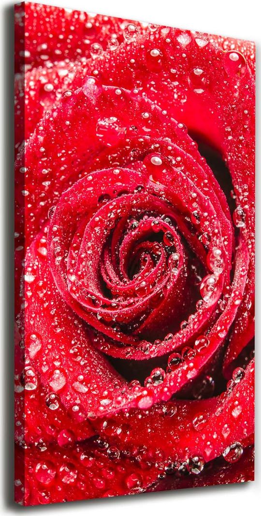  Tulup Obraz Na Płótnie 50x100 Obraz Canvas Czerwona róża 1
