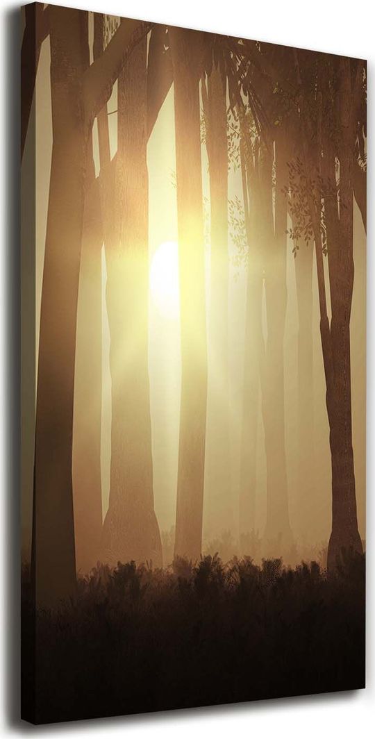  Tulup Obraz Na Płótnie 50x100 Obraz Canvas Mgłą w lesie 1