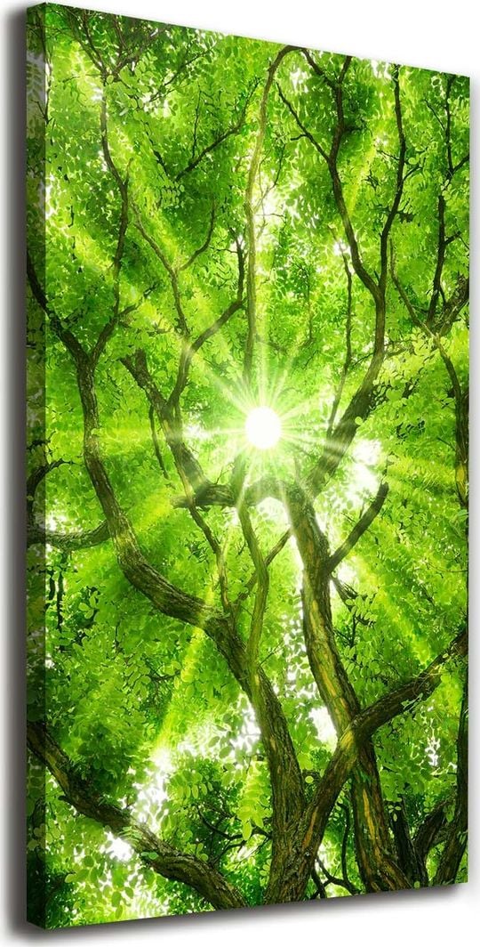  Tulup Obraz Na Płótnie 50x100 Obraz Canvas Korona drzew 1