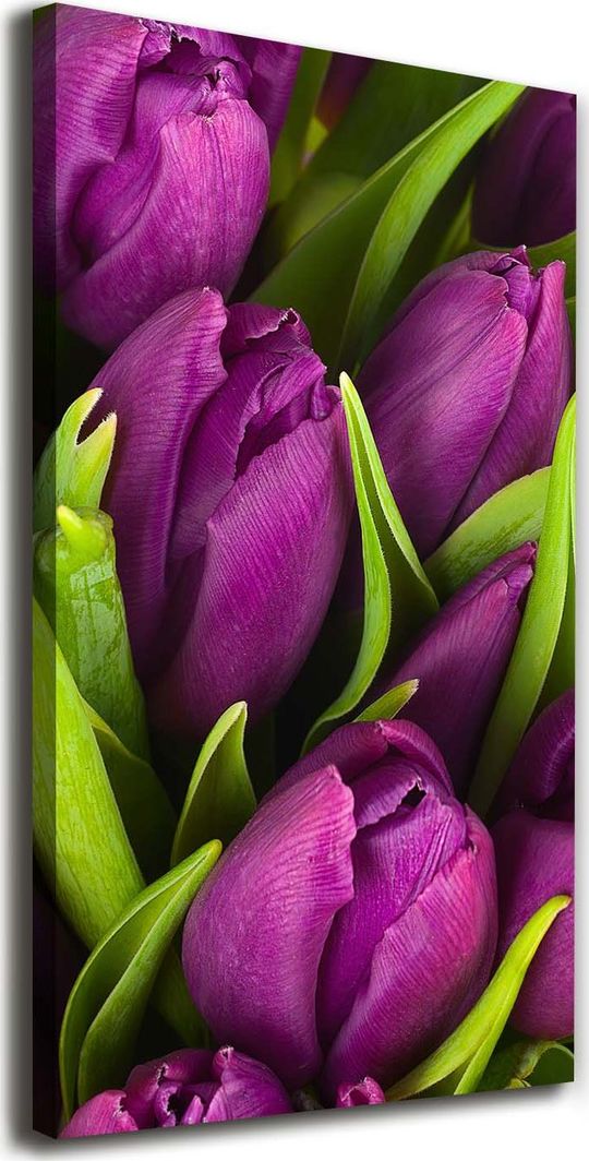 Tulup Obraz Na Płótnie 50x100 Obraz Canvas Fioletowe tulipany 1