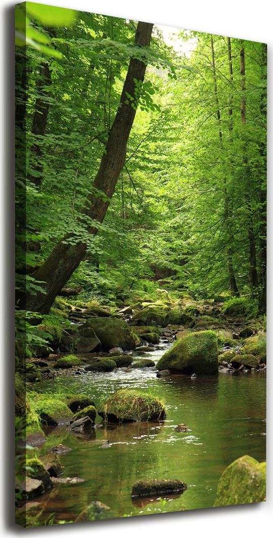  Tulup Obraz Na Płótnie 50x100 Obraz Canvas Rzeka w lesie 1