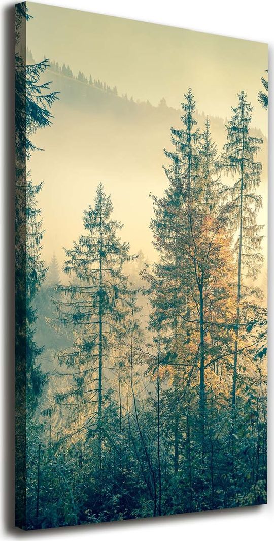 Tulup Obraz Na Płótnie 50x100 Obraz Canvas Mgła nad lasem 1