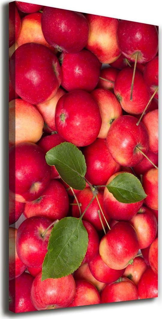  Tulup Obraz Na Płótnie 50x100 Obraz Canvas Czerwone jabłka 1
